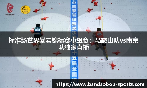 BOB半岛体育