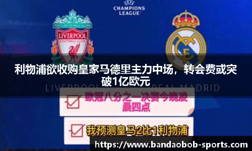 BOB半岛体育