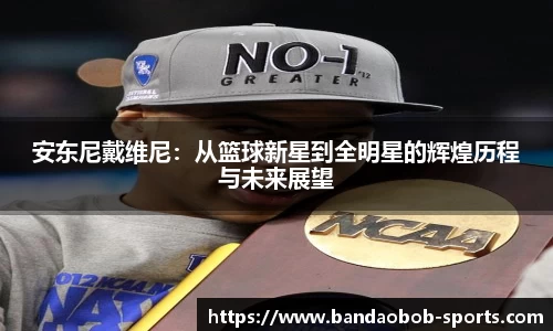 BOB半岛